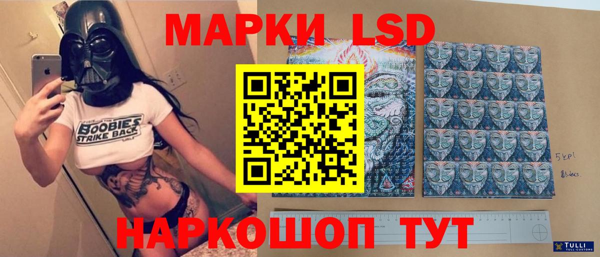 Псилоцибиновые грибы Строитель