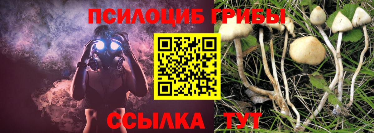 дарнет шоп  Галлюциногенные грибы прущие грибы  Вход с VPN  Строитель 