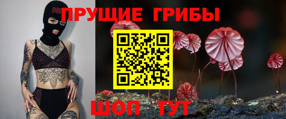 Псилоцибиновые грибы GOLDEN TEACHER Строитель